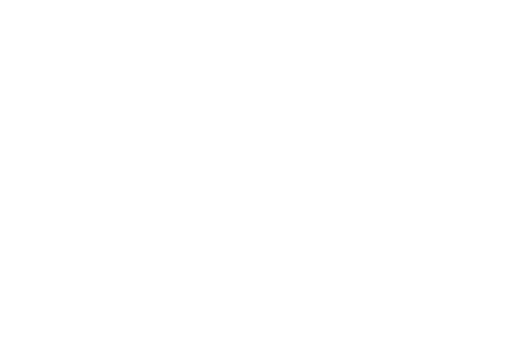logo-wide-white-vira